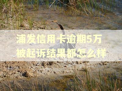 浦发信用卡逾期5万被起诉结果都怎么样