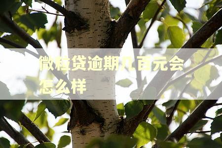 微粒贷逾期几百元会怎么样