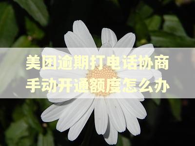 美团逾期打电话协商手动开通额度怎么办