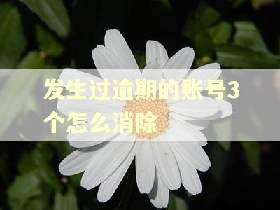 发生过逾期的账号3个怎么消除