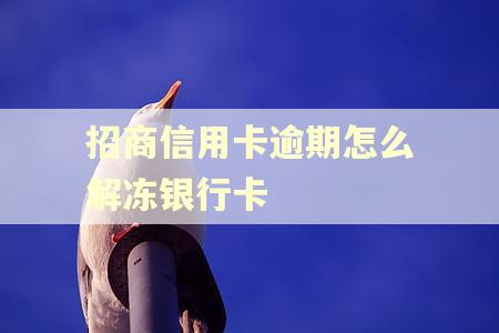 招商信用卡逾期怎么解冻银行卡