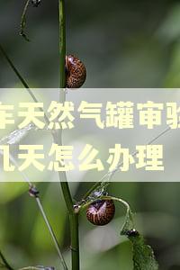 小车天然气罐审验逾期几天怎么办理