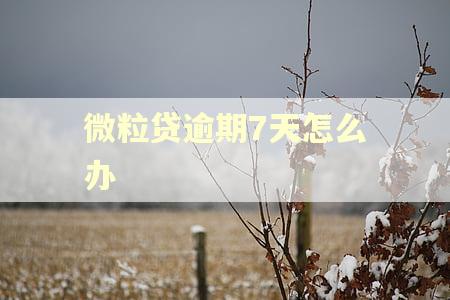 微粒贷逾期7天怎么办
