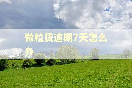 微粒贷逾期7天怎么办
