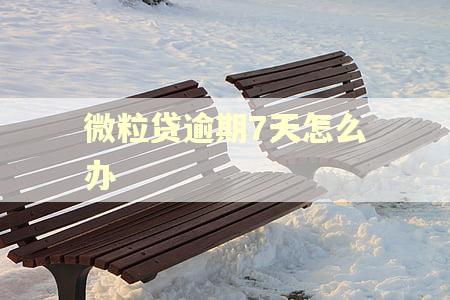 微粒贷逾期7天怎么办