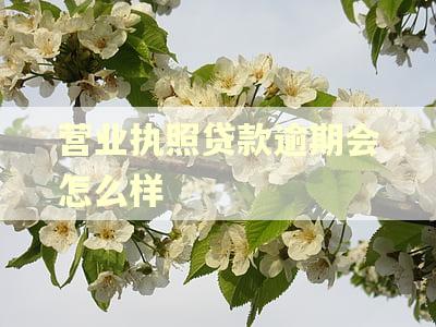 营业执照贷款逾期会怎么样
