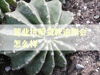营业执照贷款逾期会怎么样