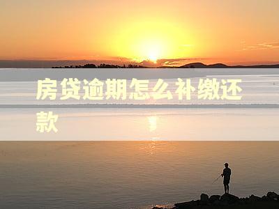 房贷逾期怎么补缴还款