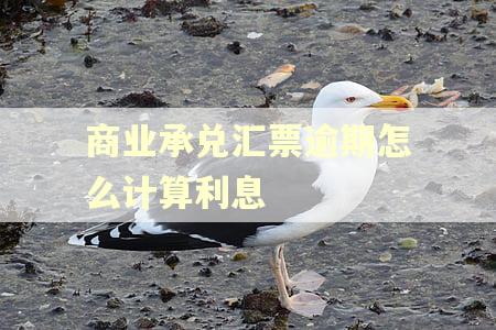 商业承兑汇票逾期怎么计算利息