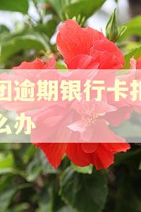 美团逾期银行卡扣款怎么办