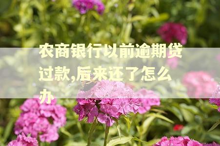 农商银行以前逾期贷过款,后来还了怎么办