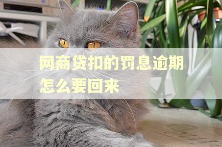 网商贷扣的罚息逾期怎么要回来