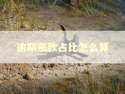 逾期账款占比怎么算