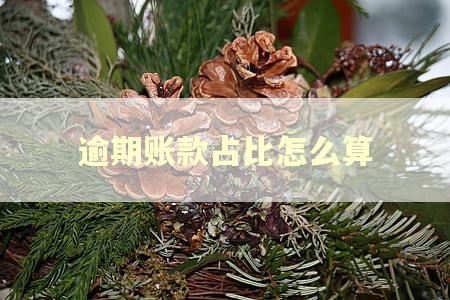 逾期账款占比怎么算