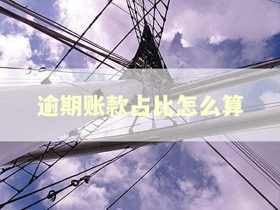 逾期账款占比怎么算