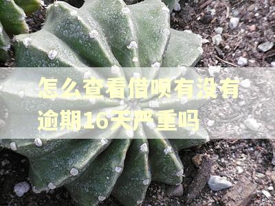 怎么查看借呗有没有逾期16天严重吗