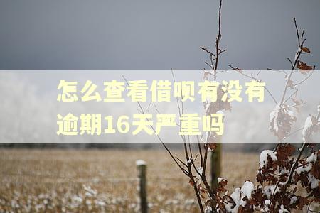 怎么查看借呗有没有逾期16天严重吗