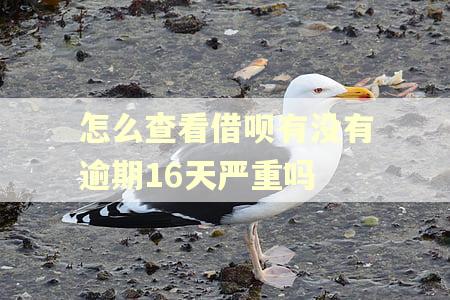 怎么查看借呗有没有逾期16天严重吗