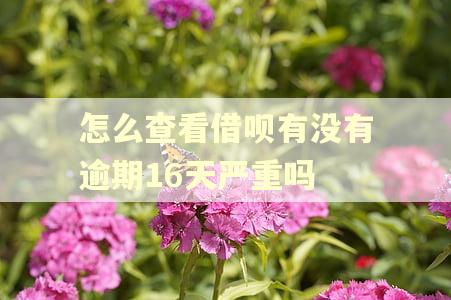怎么查看借呗有没有逾期16天严重吗 怎么查看借呗有没有逾期16天严重吗