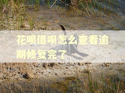 花呗借呗怎么查看逾期修复完了