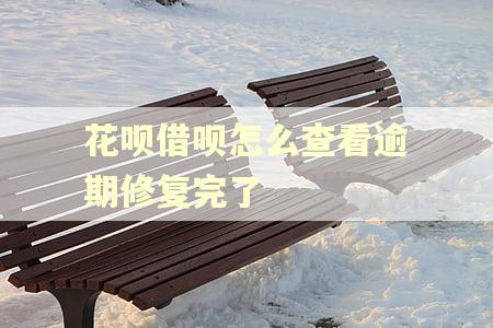 花呗借呗怎么查看逾期修复完了