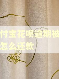 支付宝花呗逾期被关后怎么还款