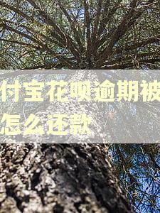 支付宝花呗逾期被关后怎么还款 支付宝花呗逾期被关后怎么还款