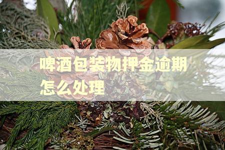 啤酒包装物押金逾期怎么处理 啤酒包装物押金逾期怎么处理