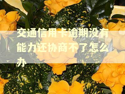 交通信用卡逾期没有能力还协商不了怎么办