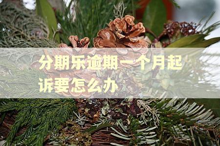 分期乐逾期一个月起诉要怎么办