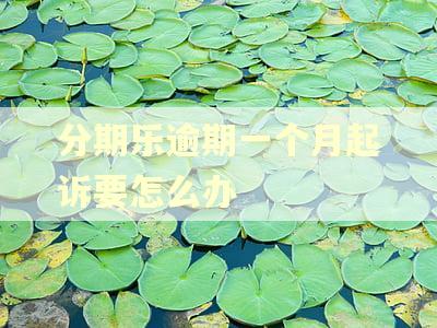 分期乐逾期一个月起诉要怎么办