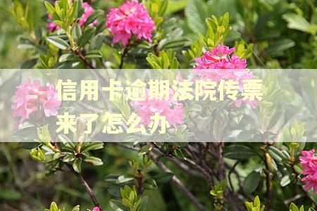 信用卡逾期法院传票来了怎么办 信用卡逾期法院传票来了怎么办