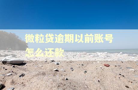 微粒贷逾期以前账号怎么还款 微粒贷逾期以前账号怎么还款