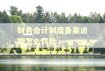 财务会计制度备案逾期怎么罚款
