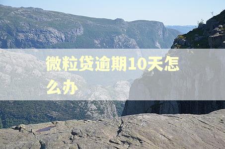 微粒贷逾期10天怎么办