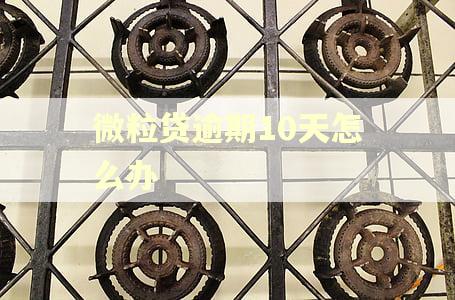 微粒贷逾期10天怎么办