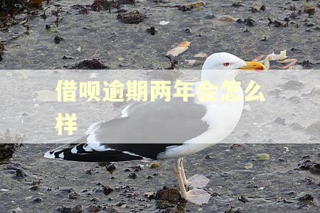 借呗逾期两年会怎么样