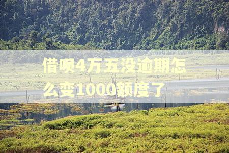 借呗4万五没逾期怎么变1000额度了
