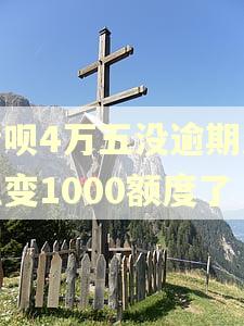 借呗4万五没逾期怎么变1000额度了