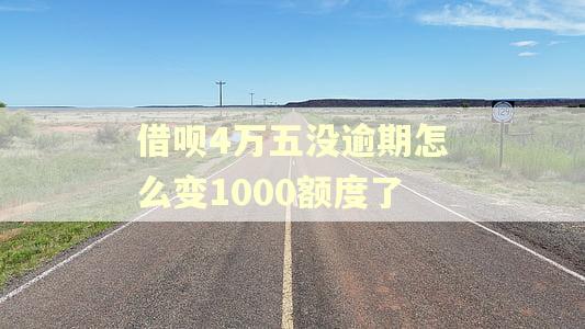 借呗4万五没逾期怎么变1000额度了