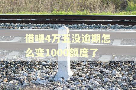 借呗4万五没逾期怎么变1000额度了 借呗4万五没逾期怎么变1000额度了