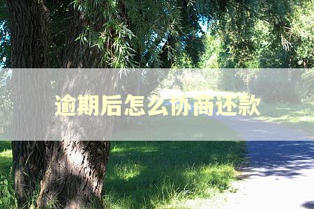 逾期后怎么协商还款