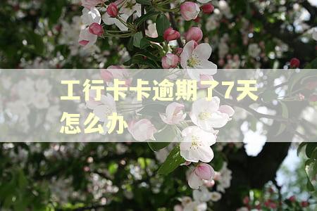 工行卡卡逾期了7天怎么办