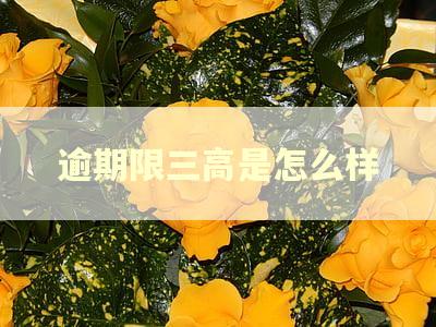 逾期限三高是怎么样