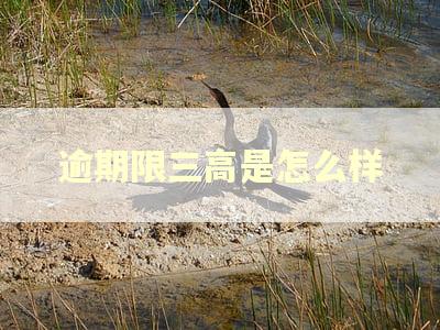 逾期限三高是怎么样