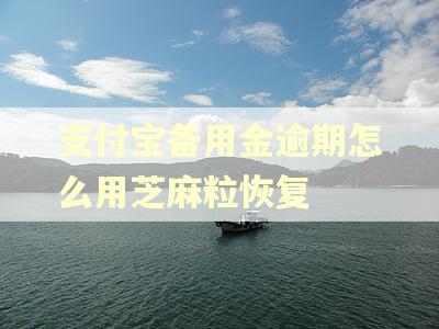 支付宝备用金逾期怎么用芝麻粒恢复