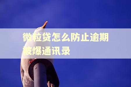 微粒贷怎么防止逾期被爆通讯录