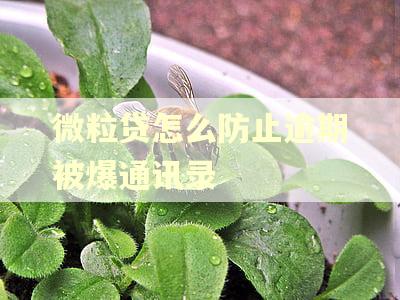 微粒贷怎么防止逾期被爆通讯录