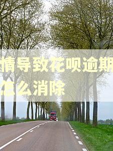疫情导致花呗逾期征信怎么消除