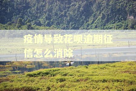 疫情导致花呗逾期征信怎么消除